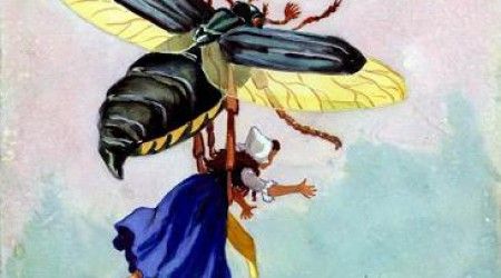 Какой жук унёс Дюймовочку в сказке Андерсена?