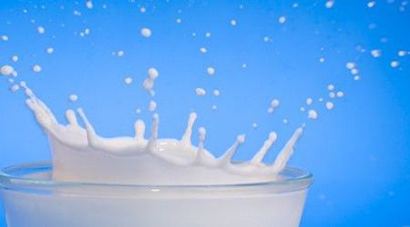 В каком веке молоко стали пастеризовать?