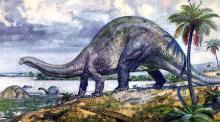 В каком геологическом периоде на Земле появились первые динозавры?
