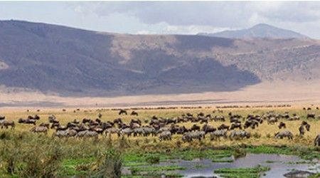 В какой восточноафриканской стране находится национальный парк «Нгоронгоро»? 