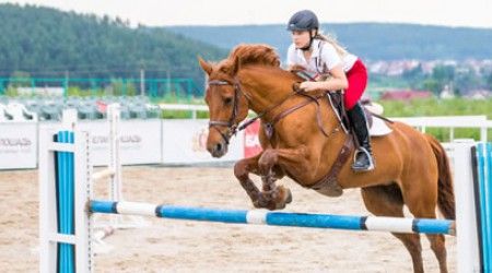 Для чего предназначены ногавки в конном спорте?