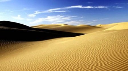 Кто привычен к жизни в пустыне?