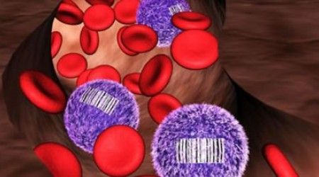 Какие клетки есть в крови человека?