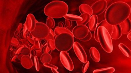 Какие элементы человеческой крови содержат гемоглобин?