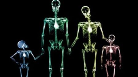 Какая кость есть в организме человека?