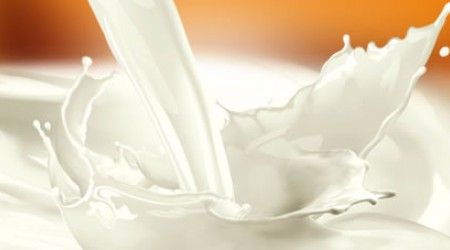 Чье молоко содержит больше жира?