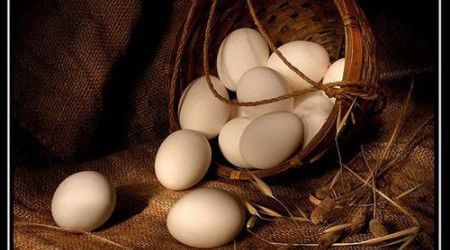 Куда, согласно пословице, не следует складывать все яйца?