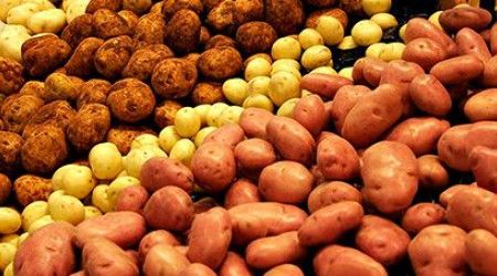 Какой континент считается родиной картофеля?