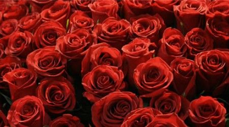 Кто подарил любимой миллион алых роз в песне Аллы Пугачёвой?