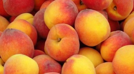 К какому семейству растений относится персик?