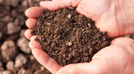 Какого вида почв не существует в природе?