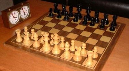 Какая шахматная фигура может перепрыгивать через свои и чужие фигуры?