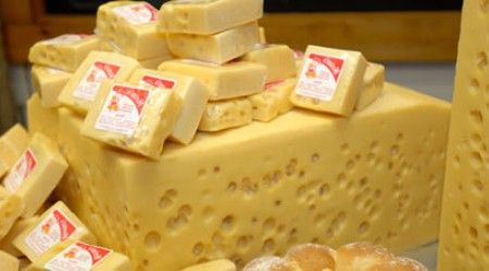 Дырки в классическом швейцарском сыре образуются благодаря…