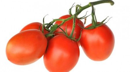 Как называется сорт продолговатых помидоров?