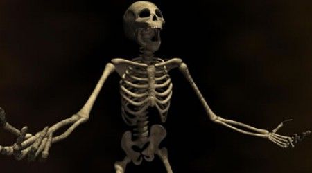 Кто имеет самое непосредственное отношение к скелетону?
