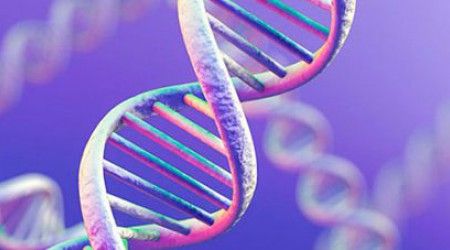 Какими бывают аллельные гены?