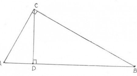 Чему равна сумма всех углов равностороннего треугольника? 