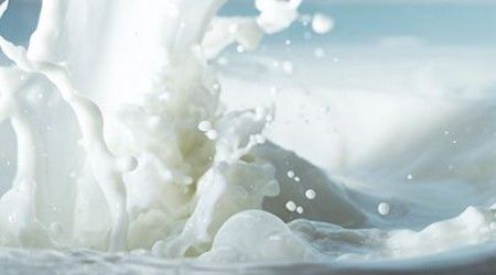 Сколько литров молока уйдет на производство одного килограмма сыра?