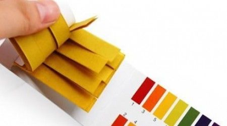 Какой цвет приобретает лакмусовая бумажка в щелочной среде?