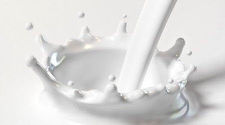 Молоко какого животного легко усваивается даже людьми с непереносимостью лактозы?