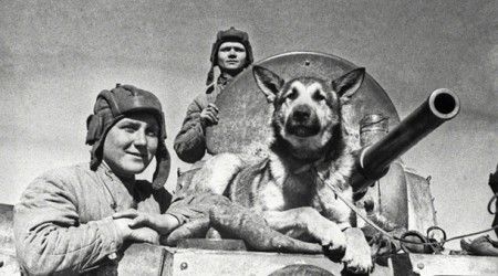 Как звали пса, участника Парада Победы 1945 года, обнаружившего более 7000 мин и 150 снарядов? 