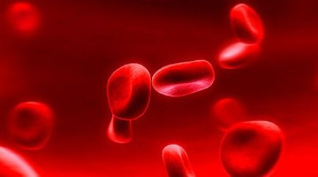 Из слов какого языка образовано название кровяных телец — тромбоцитов?