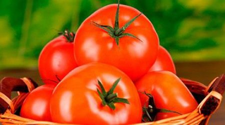 К какому семейству относится томат?