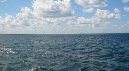 Какое самое большое в мире море?