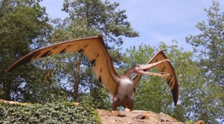 Какой динозавр умел летать?