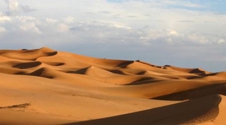 Кто водится в пустынях Туркмении и Таджикистана?