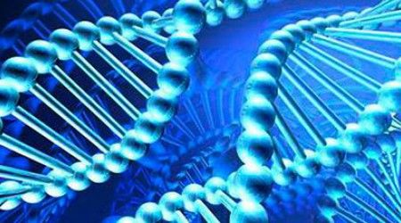 Сколько процентов ДНК необходимо для того, чтобы закодировать все белки тела человека?