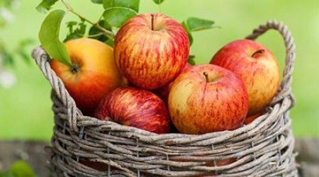 Какая страна является крупнейшим производителем яблок?