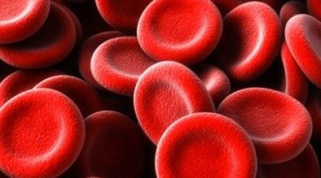Что придаёт крови человека красный цвет?