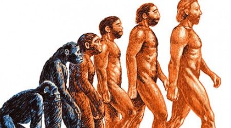 Как заканчивается известное утверждение сторонников теории Дарвина: «Человек…»?