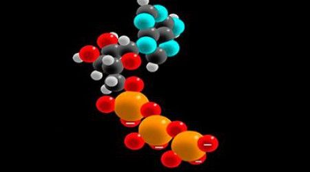 Сколько молекул АТФ производится при полном расщеплении одной молекулы глюкозы?