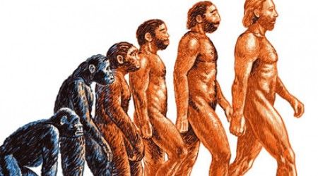 Что, по теории Дарвина, пришлось пройти обезьяне, прежде чем превратиться в человека?