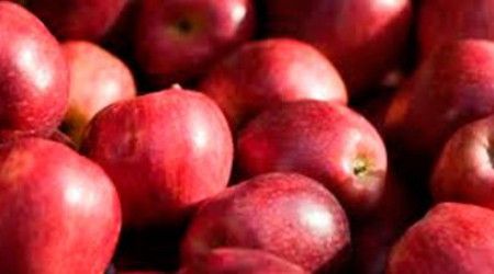 Сколько калорий содержит яблоко средних размеров?