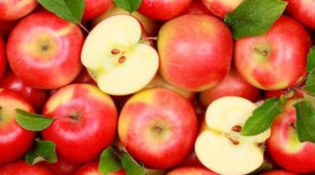 Какой регион считается родиной яблони?