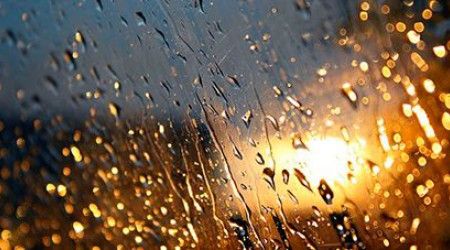 Сколько капель брызнуло в стекло в стихотворении Фета «Весенний дождь»?