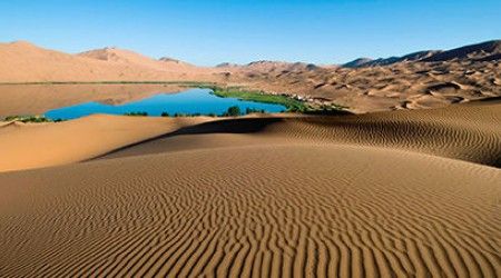 Как называется место в пустыне, где есть растительность и вода?