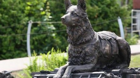 В каком городе стоит памятник «Фронтовой собаке» ?