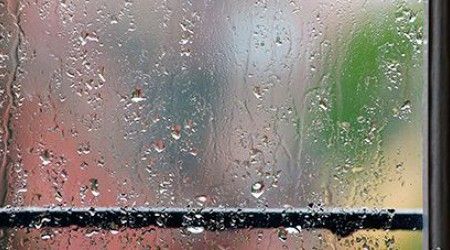 Какая степень освещения перед окном в стихотворении Фета «Весенний дождь»?